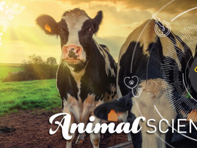 Agricultural, Food and Nutritional Science